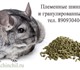 Уникальное foto Другие животные Шиншиллы в рассрочку, предлагаем бизнес на разведении шиншилл 2886351 в Екатеринбурге Фотография в Домашние животные Другие животные Предлагаем шиншилл для разведения в рассрочку, в Екатеринбурге 4 500