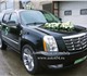 Скачать изображение Авто на заказ Заказ Cadillac Escalade на свадьбу 4244860 в Челябинске Фото в Авторынок Авто на заказ Эксклюзивная машина на заказ.Черный Кадиллак в Челябинске 1 600